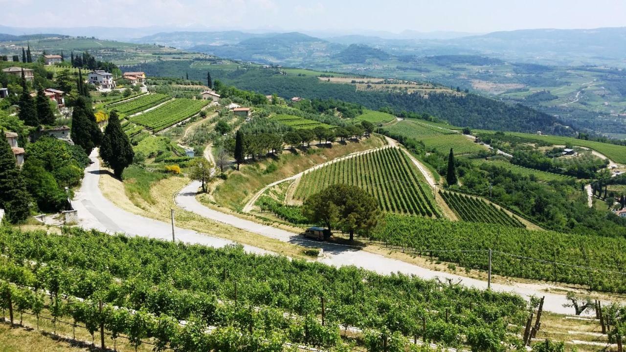 Cris Apartments SantʼAmbrogio di Valpolicella Exteriör bild